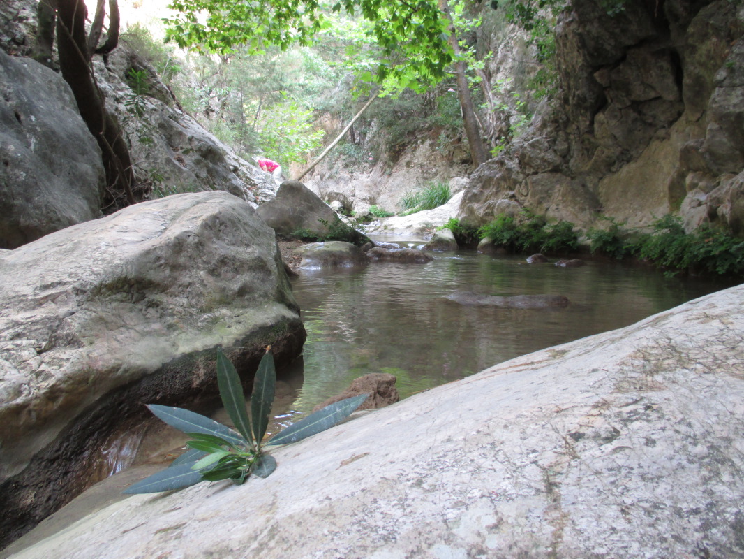 samos-16-07-potami-032