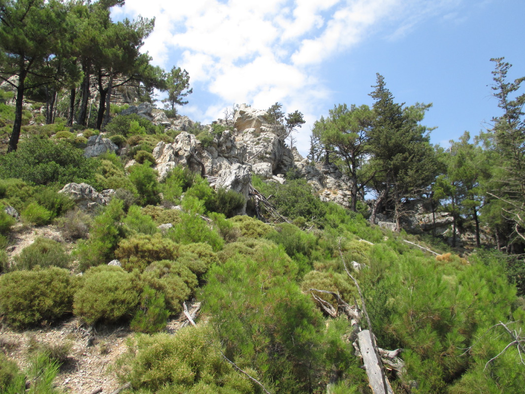 samos-17-07-nikoloudes-020