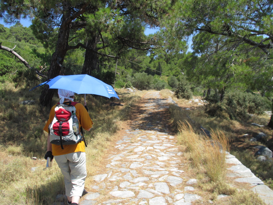samos-21-07-zood-pigi-032