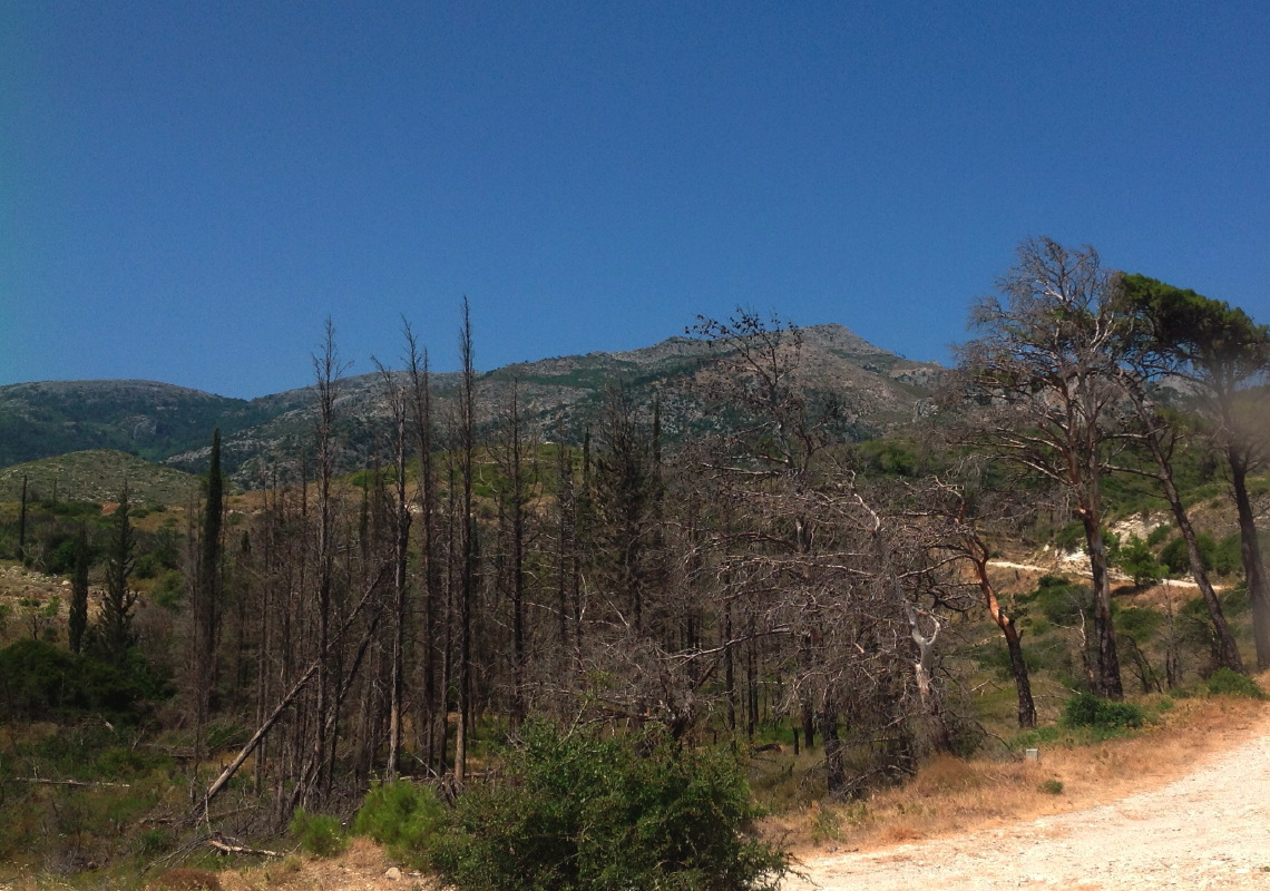 samos-24-07-mytilini-038