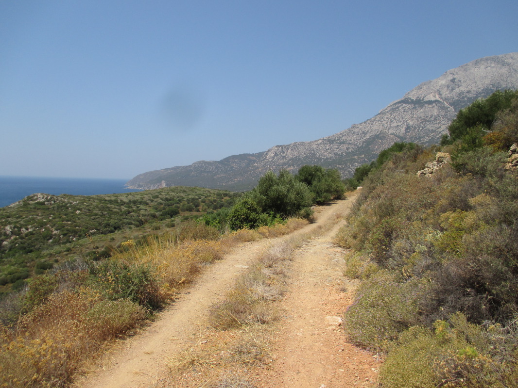 samos-27-07-paleochori-028