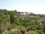 samos-21-07-zood-pigi-031