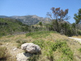samos-24-07-mytilini-016
