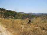 samos-24-07-mytilini-017