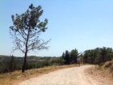 samos-24-07-mytilini-034