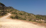 samos-24-07-mytilini-036