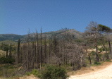 samos-24-07-mytilini-038